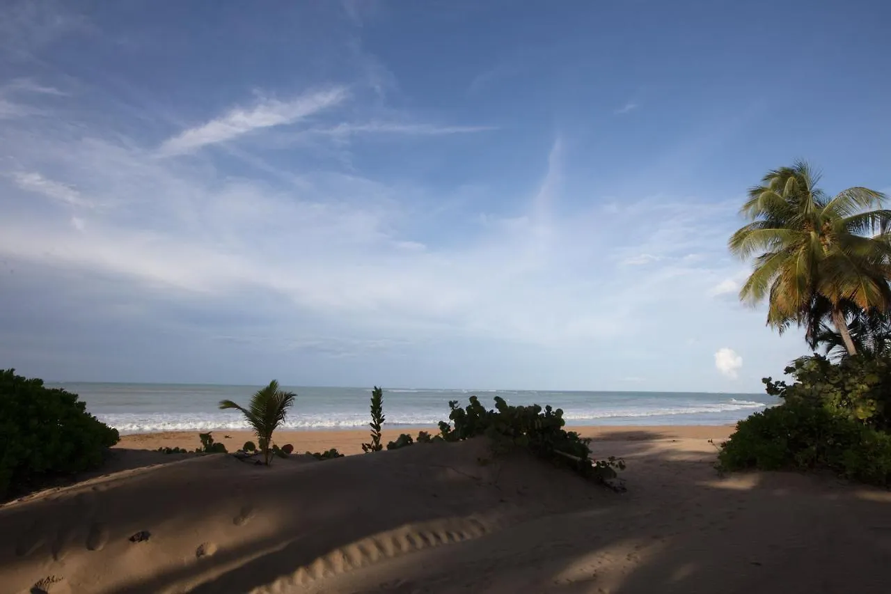 Wyndham Grand Rio Mar Rainforest Beach And Golf Resort Rio Grande