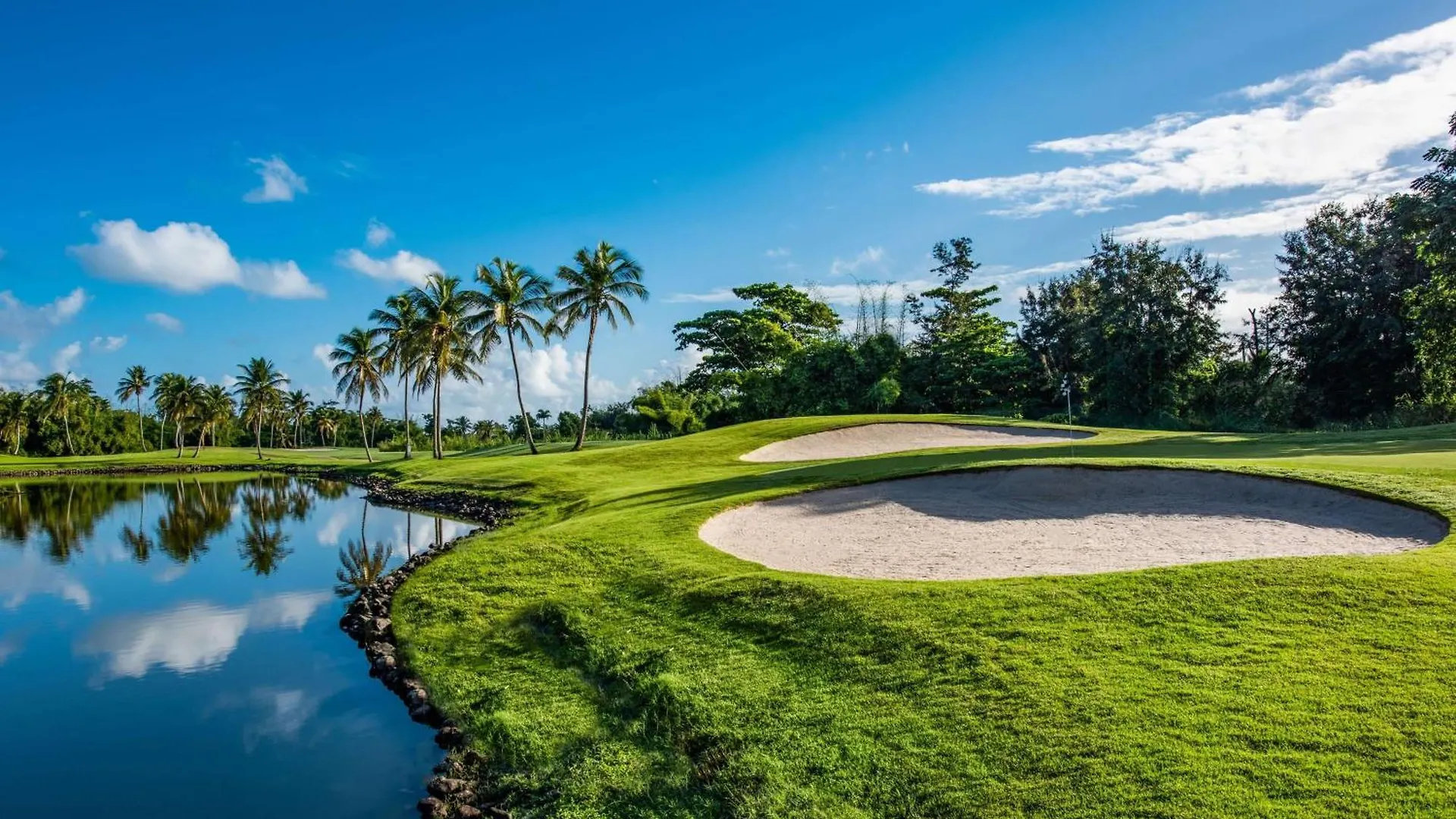 Wyndham Grand Rio Mar Rainforest Beach And Golf Resort Rio Grande